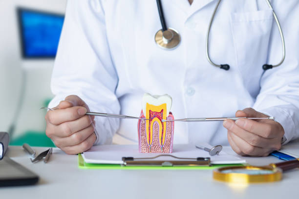 Best Knocked-Out Tooth Emergency  in Washington, MO